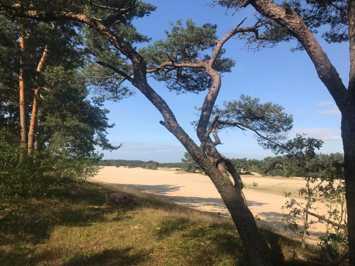 Boshuisje Veluwe Mels Place Doornspijk Dış mekan fotoğraf